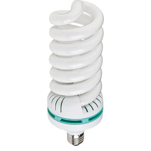 Westcott Daylight Fluorescent Bulb (85-watt) at PROCAM | procam.com