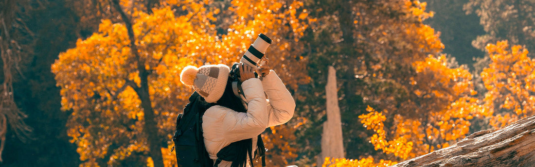 Chasing the Color: Fall Photography Guide
