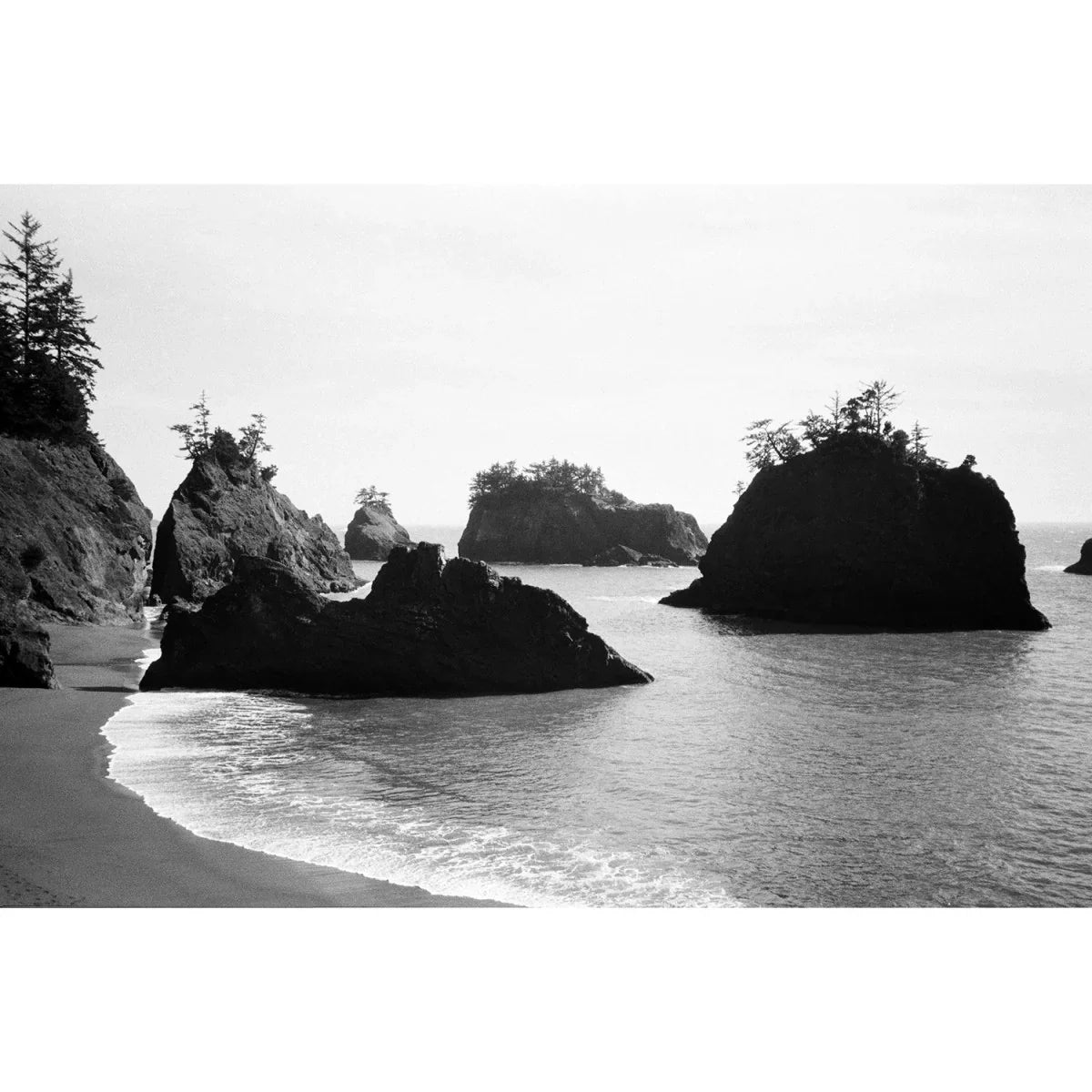 Ilford HP5 Plus Black and White Negative Film (35mm Roll Film, 36 Exposures) at PROCAM | procam.com