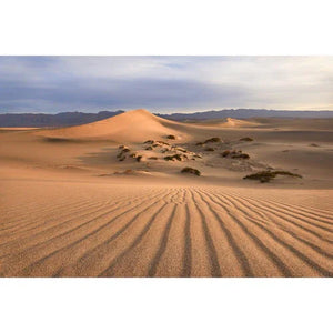 Canon RF 16-28mm f/2.8 IS STM Lens at PROCAM | procam.com