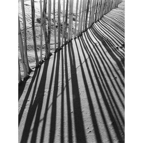 Kodak Professional Tri-X 400 Black and White Negative Film (35mm