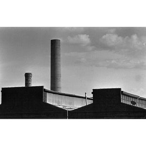 Film Photography Project Black and White X-Ray Film (35mm Roll Film, 24 Exposures) at PROCAM | procam.com