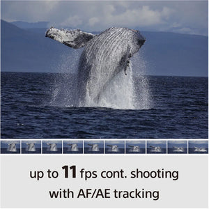 Sony a6100 Mirrorless Camera with PZ 16-50mm f/3.5-5.6 II Lens at PROCAM | procam.com