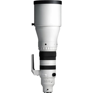 Sigma 300-600mm f/4 DG OS Sports Lens for Leica L at PROCAM | procam.com