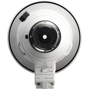 Sigma 300-600mm f/4 DG OS Sports Lens for Leica L at PROCAM | procam.com