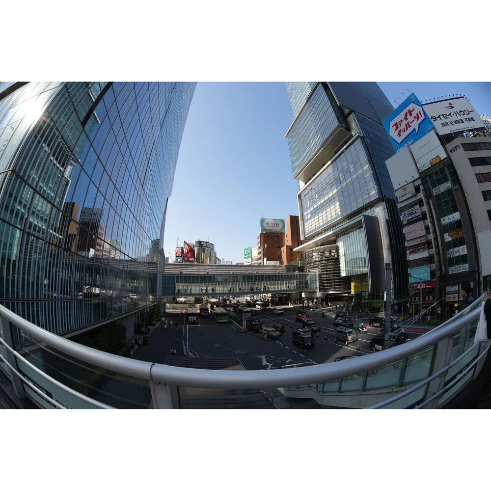 Laowa Venus Optics 8-15mm f/2.8 Fisheye Lens (L-Mount) at PROCAM | procam.com