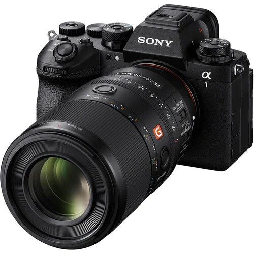 Sony FE 100mm f/2.8 MACRO GM OSS Lens at PROCAM | procam.com