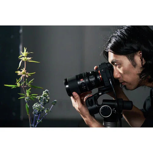 Sony FE 100mm f/2.8 MACRO GM OSS Lens at PROCAM | procam.com