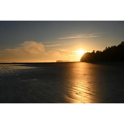 Nikon NIKKOR Z DX 35mm f/1.7 Lens at PROCAM | procam.com