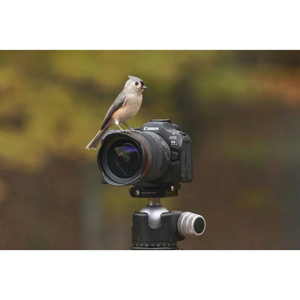 Canon EOS R6 Mark III Mirrorless Camera with RF 24-105mm f/4-7.1 IS STM Lens at PROCAM | procam.com