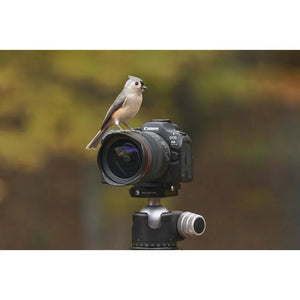 Canon EOS R6 Mark III Mirrorless Camera with RF 24-105mm f/4-7.1 IS STM Lens at PROCAM | procam.com