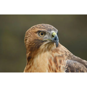 Canon EOS R6 Mark III Mirrorless Camera with RF 24-105mm f/4-7.1 IS STM Lens at PROCAM | procam.com