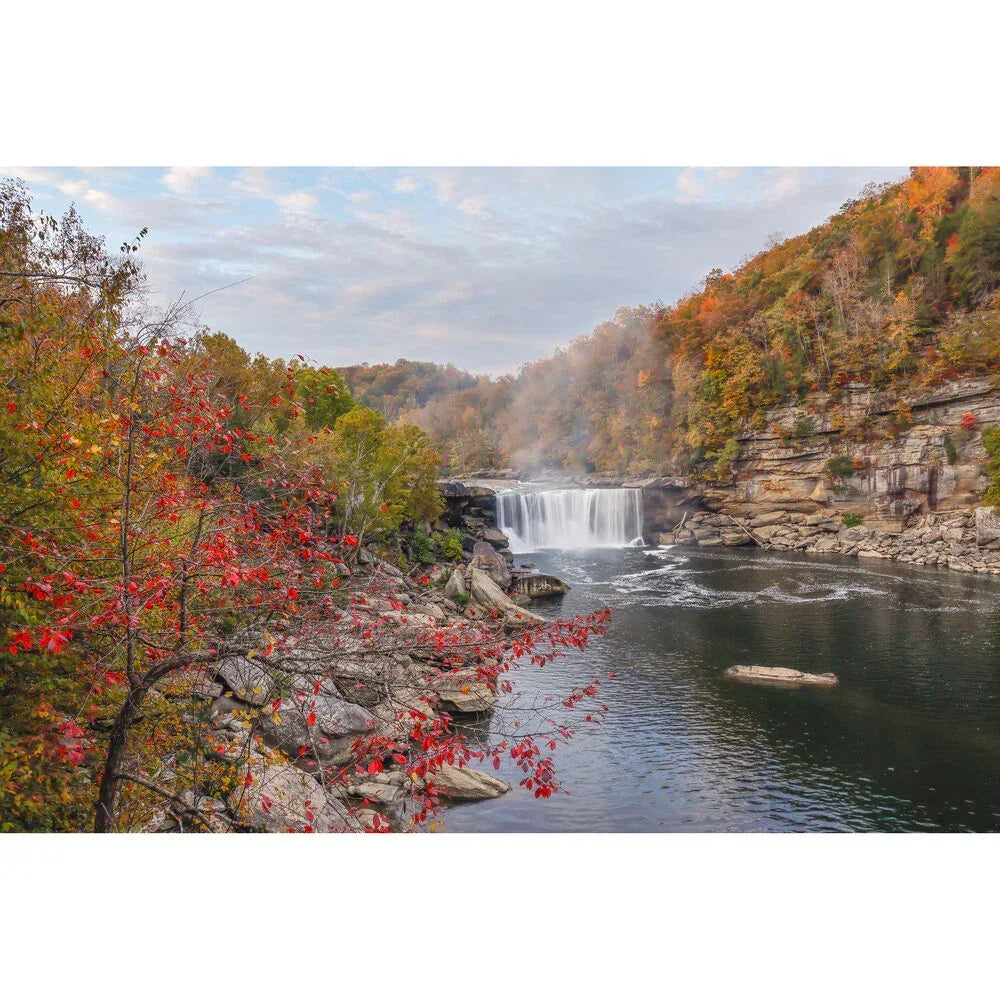 Canon EOS R6 Mark III Mirrorless Camera with RF 24-105mm f/4-7.1 IS STM Lens at PROCAM | procam.com