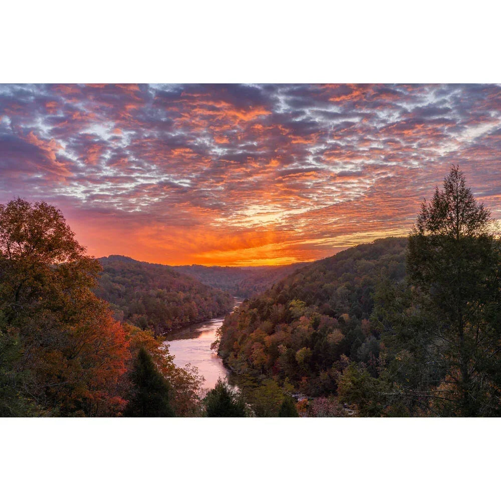 Canon EOS R6 Mark III Mirrorless Camera with RF 24-105mm f/4-7.1 IS STM Lens at PROCAM | procam.com