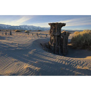 Canon RF 16-28mm f/2.8 IS STM Lens at PROCAM | procam.com