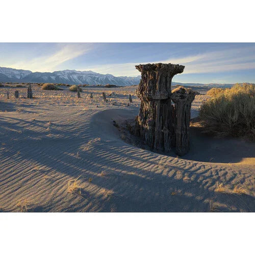 Canon RF 16-28mm f/2.8 IS STM Lens at PROCAM | procam.com