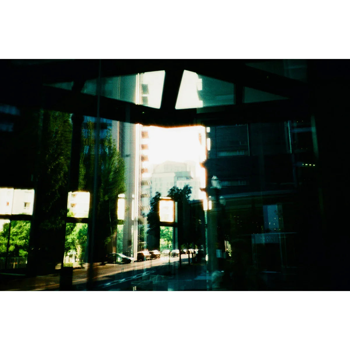 HARMAN Phoenix 200 Color Negative Film (35mm Roll Film, 36 Exposures) at PROCAM | procam.com