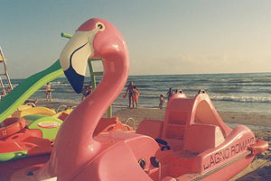 dubblefilm APOLLO 400 Color Film (35mm Roll Film, 36 Exposures) at PROCAM | procam.com