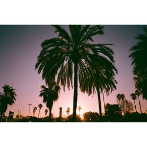 dubblefilm BUBBLEGUM 200 Color Negative Film (35mm Roll Film, 36 Exposures) at PROCAM | procam.com