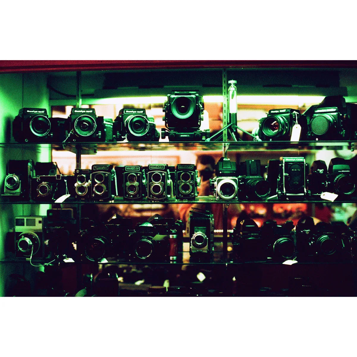 HARMAN Phoenix 200 Color Negative Film (35mm Roll Film, 36 Exposures) at PROCAM | procam.com