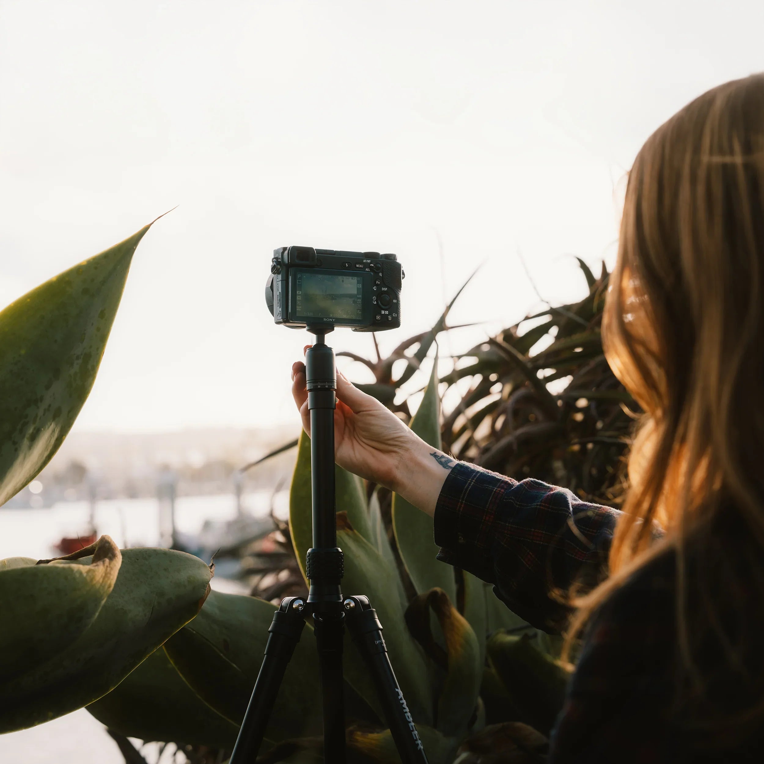 ProMaster Ambler Tripod Kit at PROCAM | procam.com