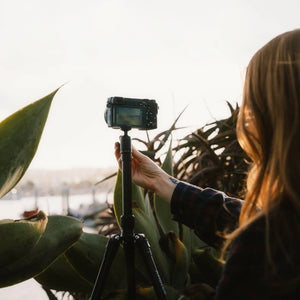 ProMaster Ambler Tripod Kit at PROCAM | procam.com