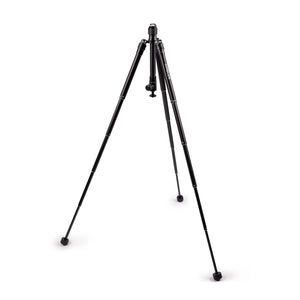 ProMaster Ambler Tripod Kit at PROCAM | procam.com