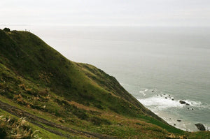 Kodak ColorPlus 200 Color Negative Film (35mm Roll Film, 36 Exposures) at PROCAM | procam.com