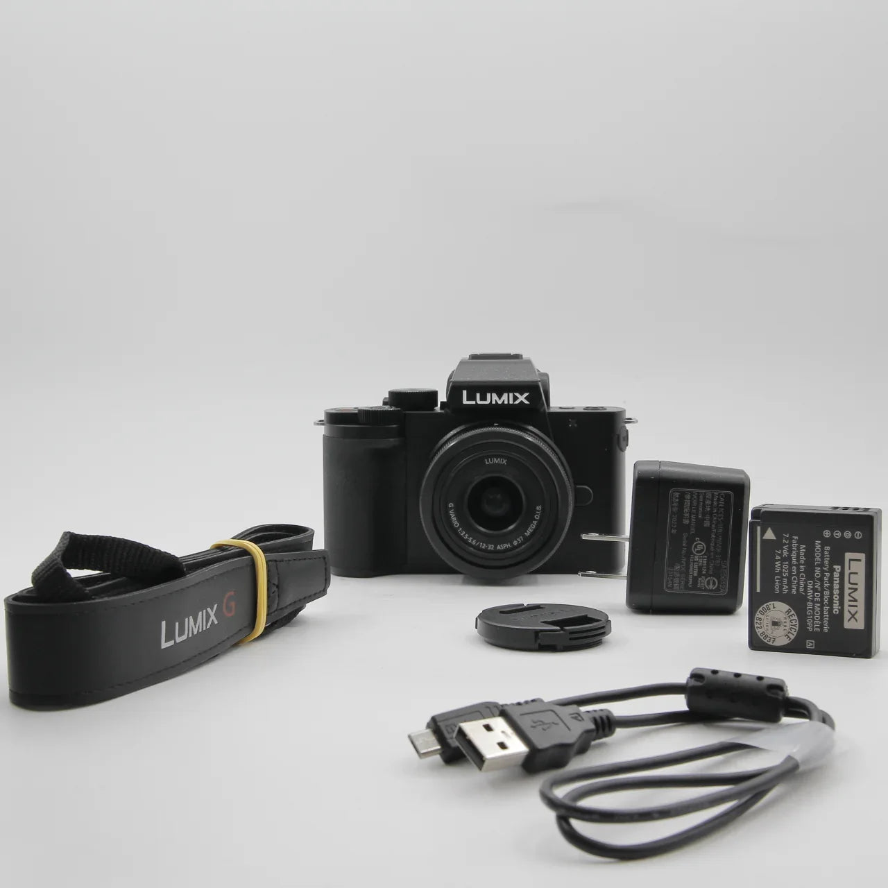 * OPEN BOX GOOD * Panasonic Lumix DC-G100 Mirrorless Digital Camera with 12-32mm Lens at PROCAM | procam.com