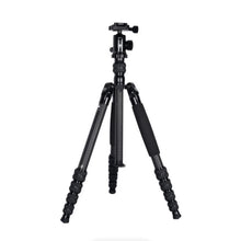 Sirui T-1205 Carbon Fiber Travel Tripod with E-10 Ball Head