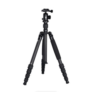 Sirui T-1205 Carbon Fiber Travel Tripod with E-10 Ball Head at PROCAM | procam.com