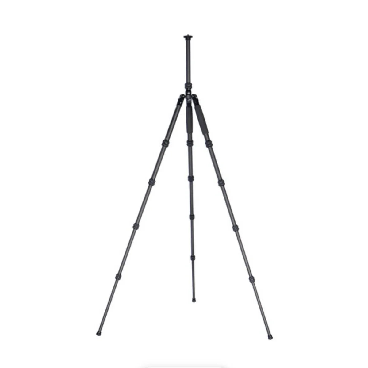 Sirui T-1205 Carbon Fiber Travel Tripod with E-10 Ball Head at PROCAM | procam.com