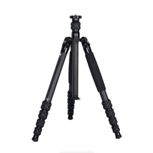Sirui T-1205 Carbon Fiber Travel Tripod with E-10 Ball Head at PROCAM | procam.com
