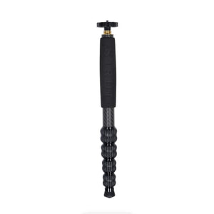 Sirui T-1205 Carbon Fiber Travel Tripod with E-10 Ball Head at PROCAM | procam.com