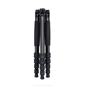 Sirui T-1005 Aluminum Travel Tripod with E-10 Ball Head at PROCAM | procam.com