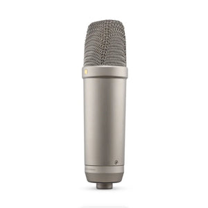 RODE NT1 5th Generation Large-Diaphragm Cardioid Condenser XLR/USB Microphone (Silver) at PROCAM | procam.com