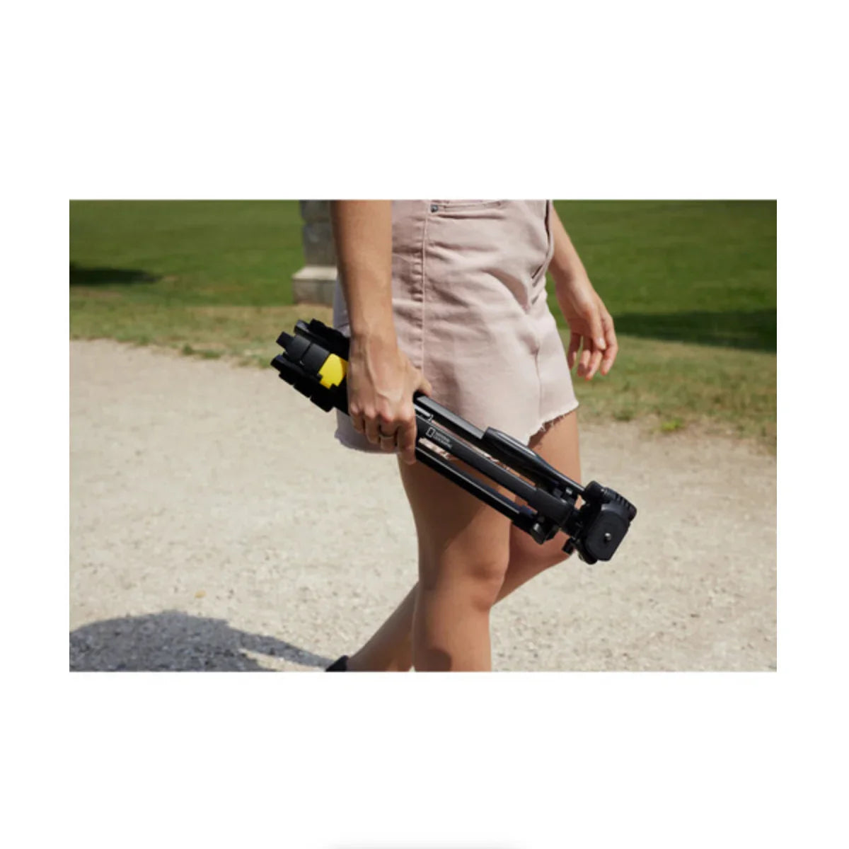 National Geographic Photo Tripod (Small) at PROCAM | procam.com
