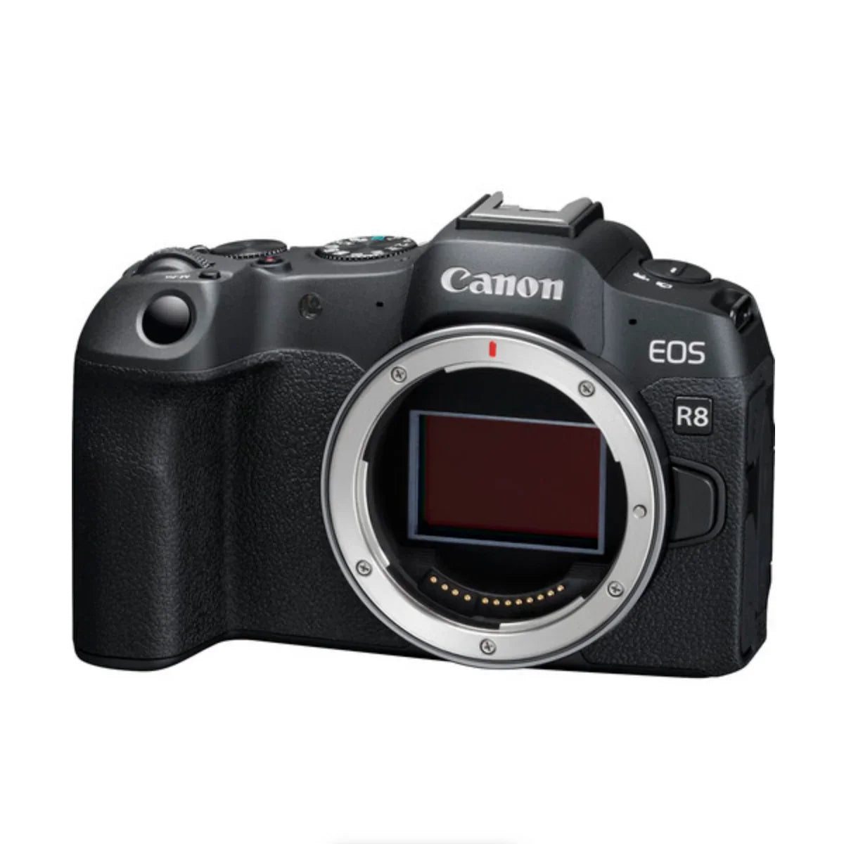Canon EOS R8 Mirrorless Camera (Body Only) at PROCAM | procam.com