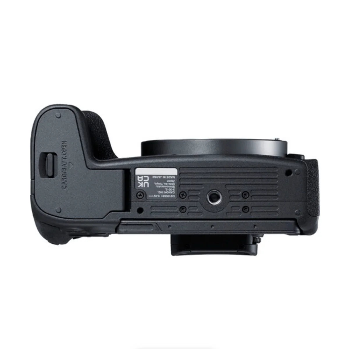 Canon EOS R8 Mirrorless Camera (Body Only) at PROCAM | procam.com