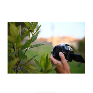 Nikon NIKKOR Z DX 24mm f/1.7 Lens at PROCAM | procam.com