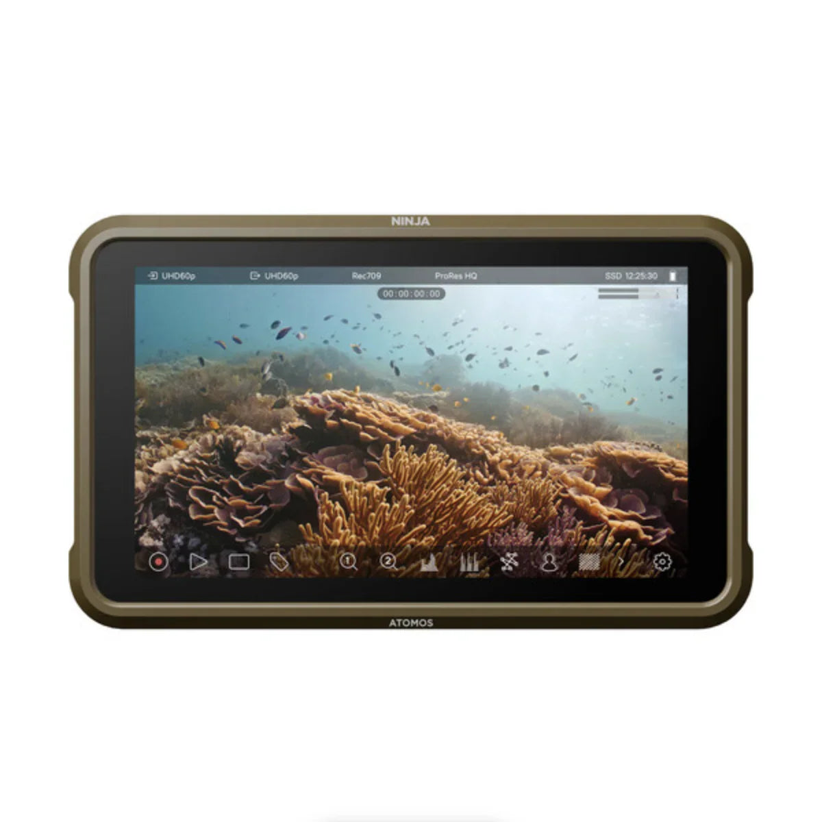 Atomos Ninja 5.2" 4K HDMI Recording Monitor at PROCAM | procam.com