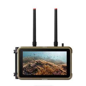 Atomos Ninja 5.2" 4K HDMI Recording Monitor at PROCAM | procam.com