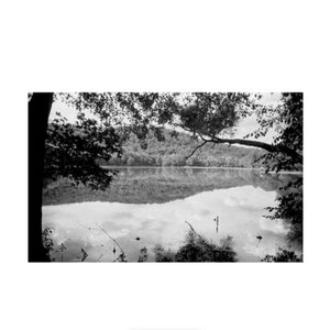 Film Photography Project DRACULA 64 B&W Negative Film (35mm Roll Film, 24 Exposures) at PROCAM | procam.com