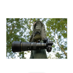 Nikon NIKKOR Z 600mm f/6.3 VR S Lens at PROCAM | procam.com