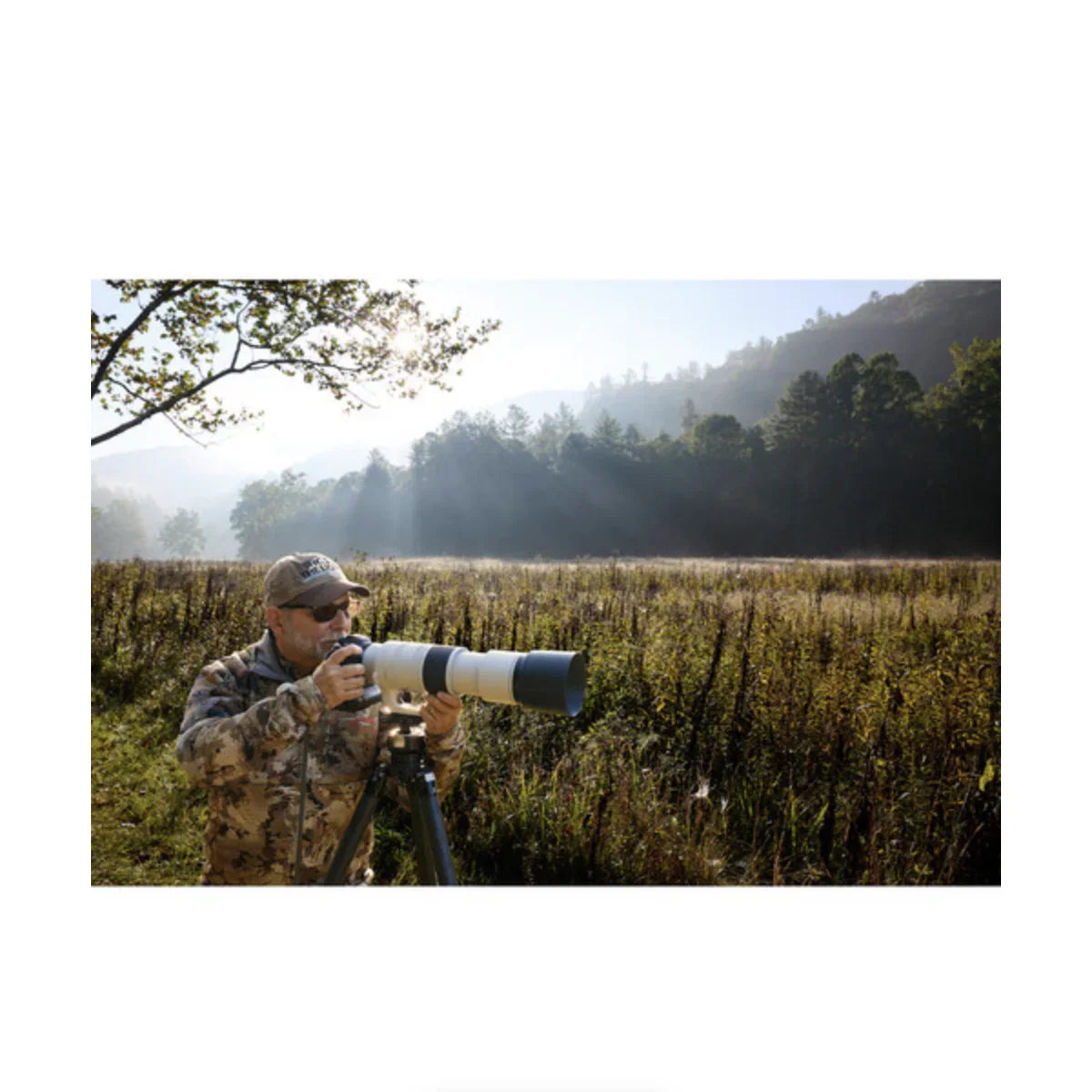 Canon RF 200-800mm f/6.3-9 IS USM Lens at PROCAM | procam.com