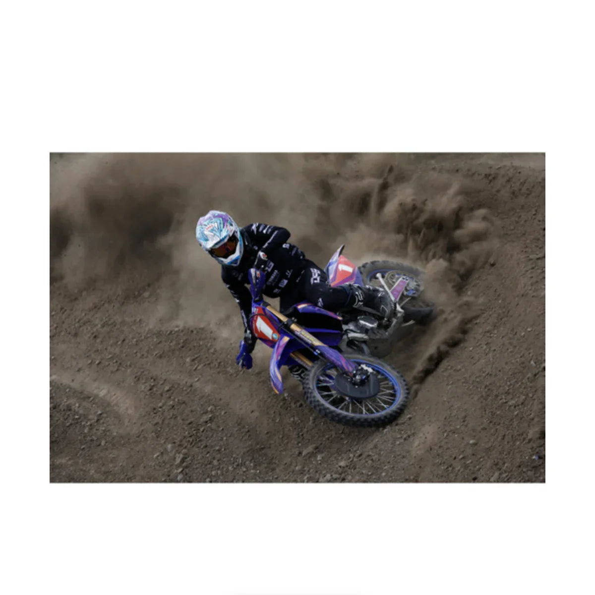 Canon RF 200-800mm f/6.3-9 IS USM Lens at PROCAM | procam.com