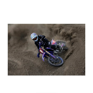 Canon RF 200-800mm f/6.3-9 IS USM Lens at PROCAM | procam.com