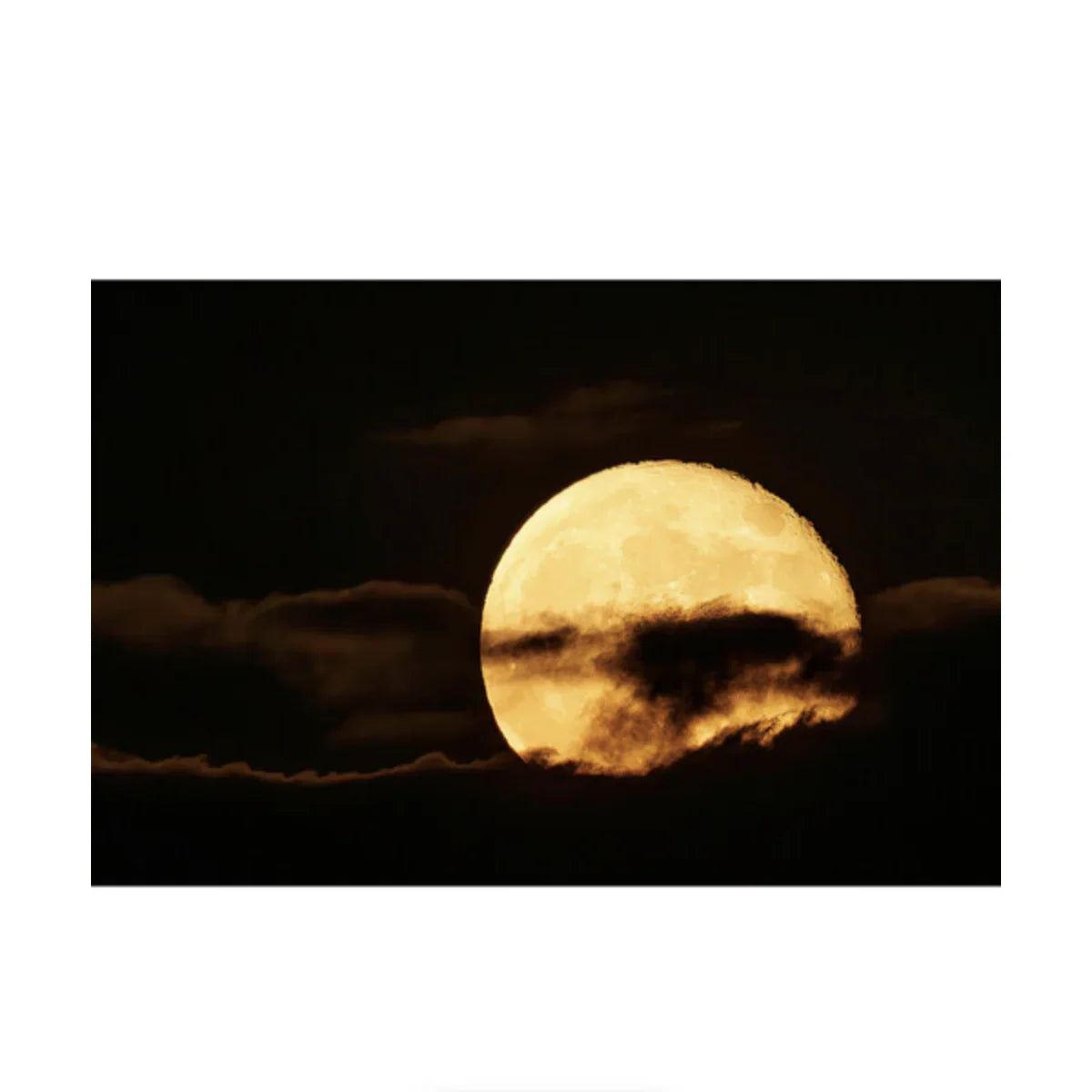 Canon RF 200-800mm f/6.3-9 IS USM Lens at PROCAM | procam.com