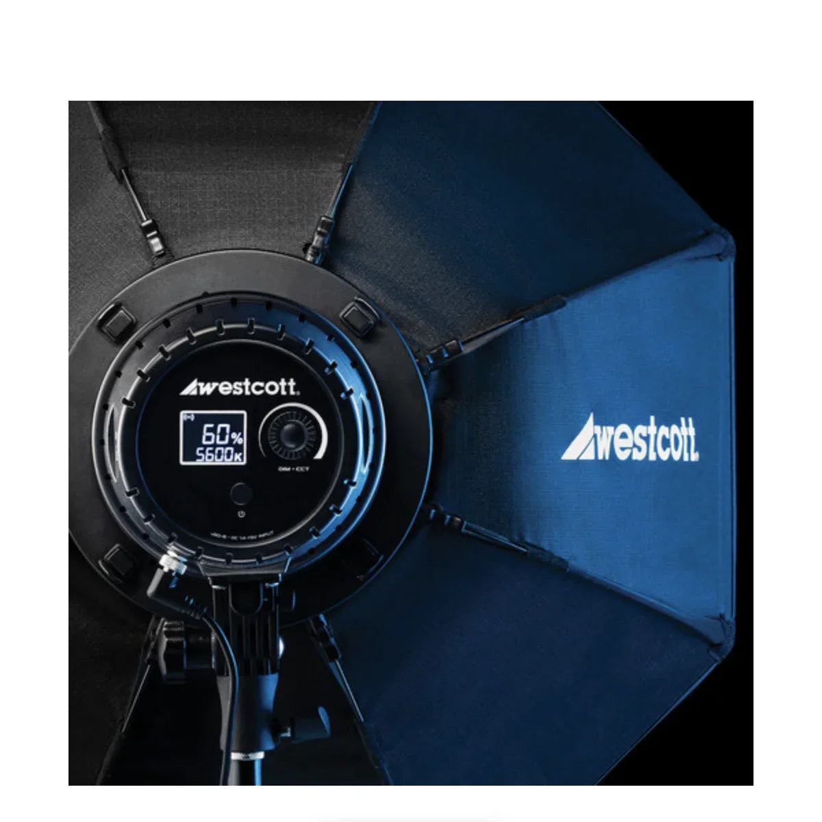 Westcott U60-B Bi-Color 3-Light LED Monolight Kit with 22" Octabox (3-Light Kit) at PROCAM | procam.com