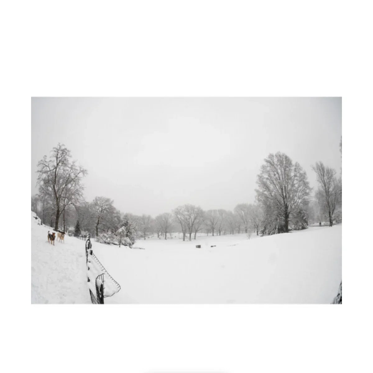 Sigma 15mm f/1.4 DG DN Art Lens for Sony E at PROCAM | procam.com